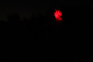 Mario in red light