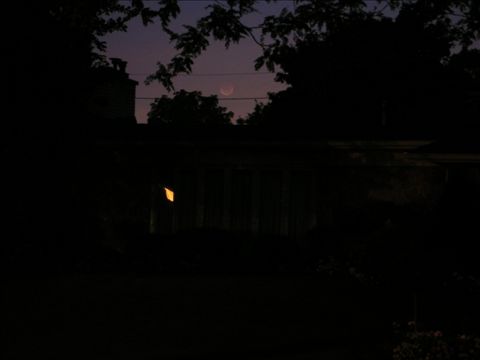 Houses and trees are encroaching fast on the view A photo of the moon across the street, above houses, power lines and trees.